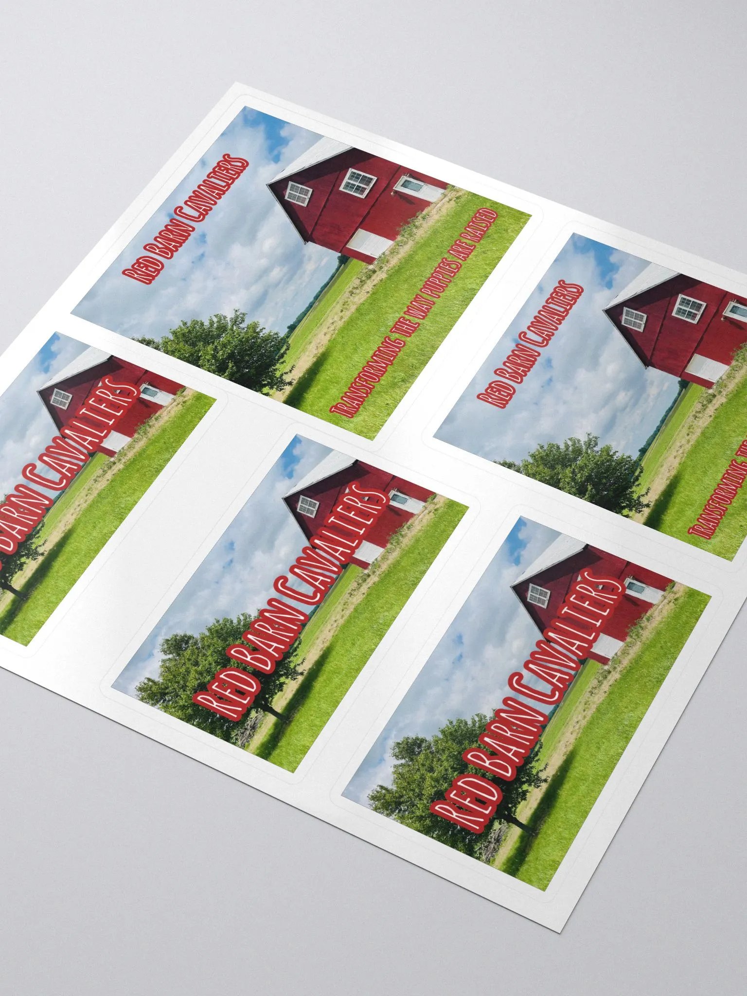 RBC Logo Sticker Set product image (4)