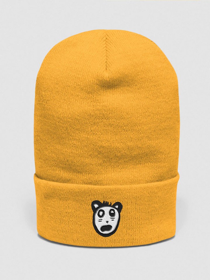 Pat Beanie product image (1)
