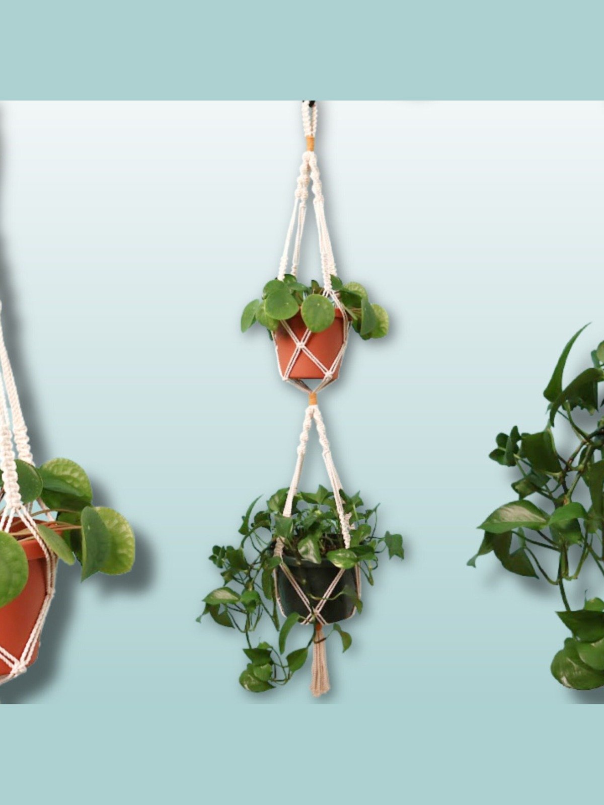 Macrame Plant Hanger Bundle (Digital PDF Patterns) product image (6)