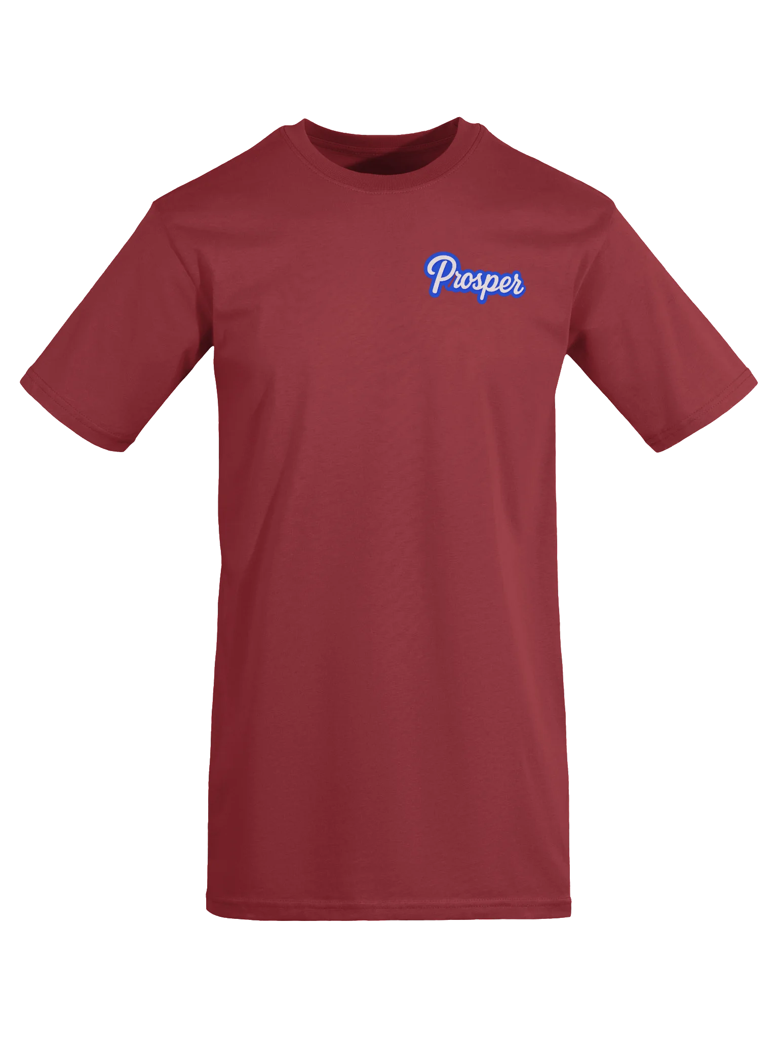 PROSPER Heavyweight T-shirt product image (35)