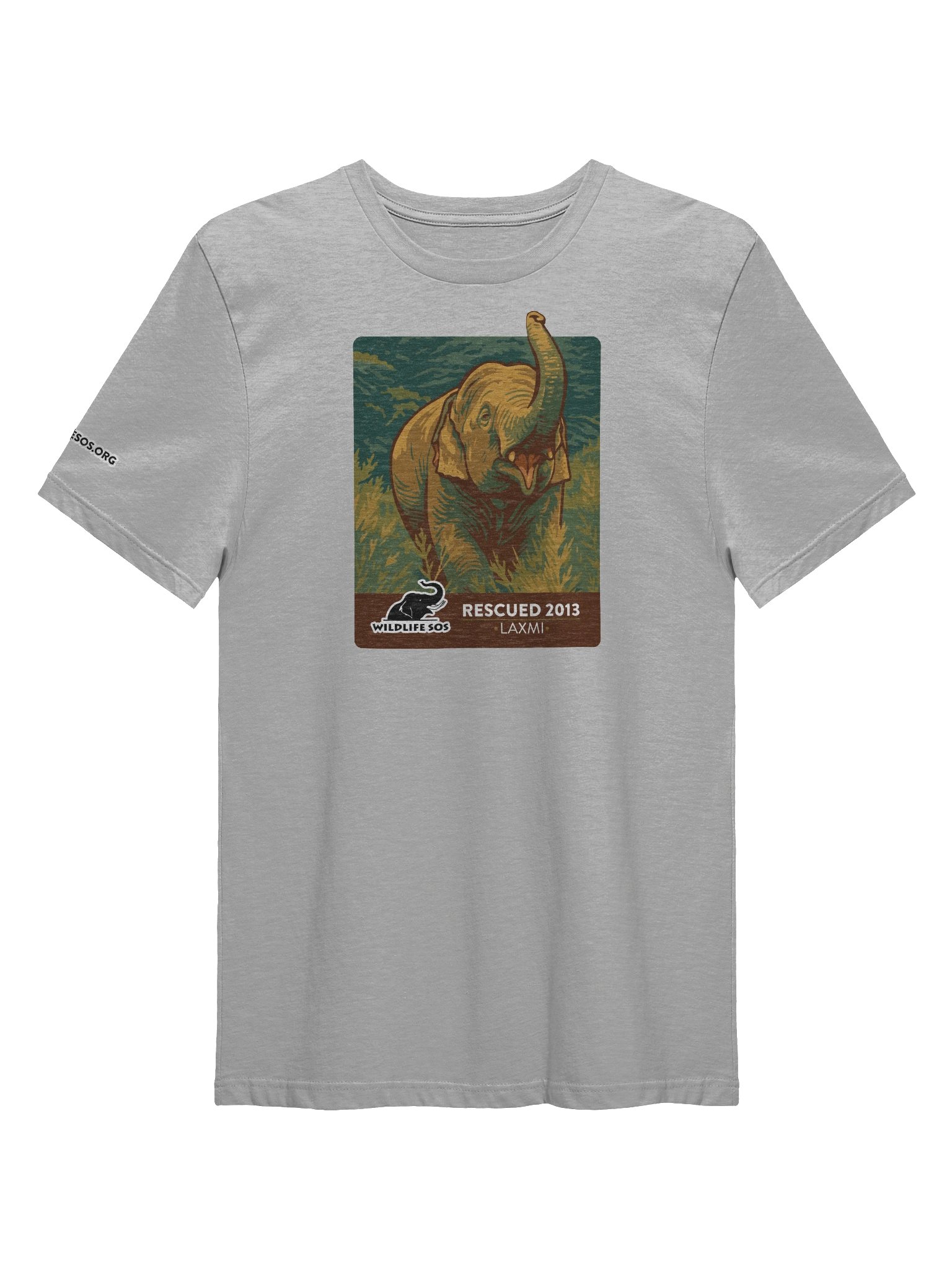 Laxmi - Rescued 2013! product image (2)