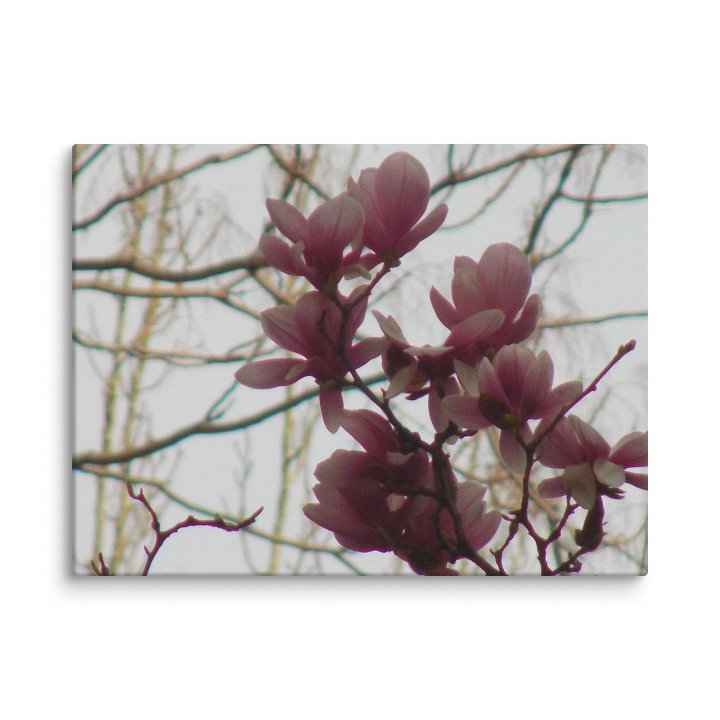 Magnolia product image (16)