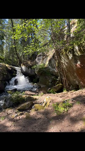 📸💕 VI ÄLSKAR ATT SE ERA BILDER OCH VIDEOKLIPP!

Vi blir så glada när ni delar bilder och filmer från era besök på The View Sw...