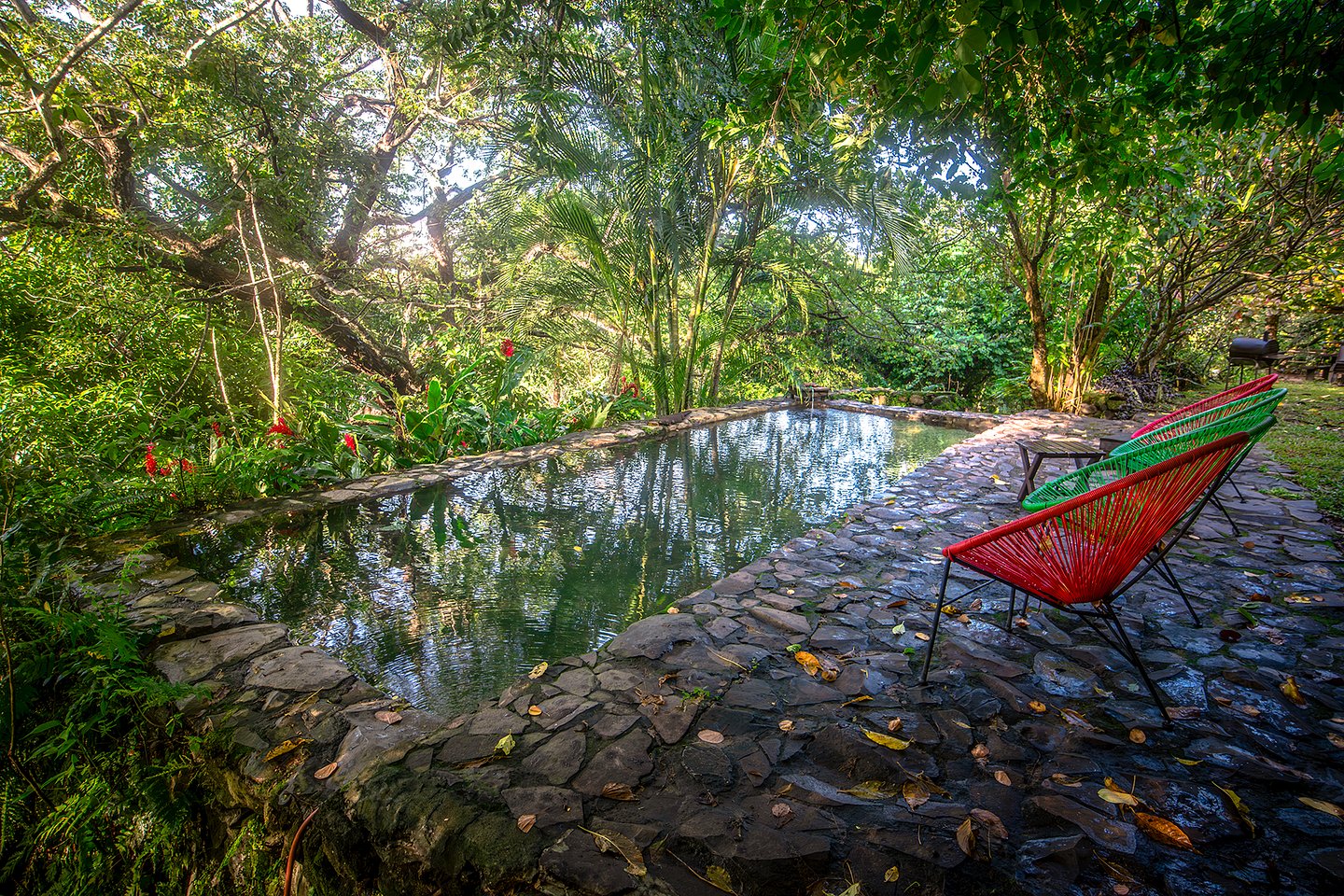 The pool at Aroma de Campo, Costa Rica
