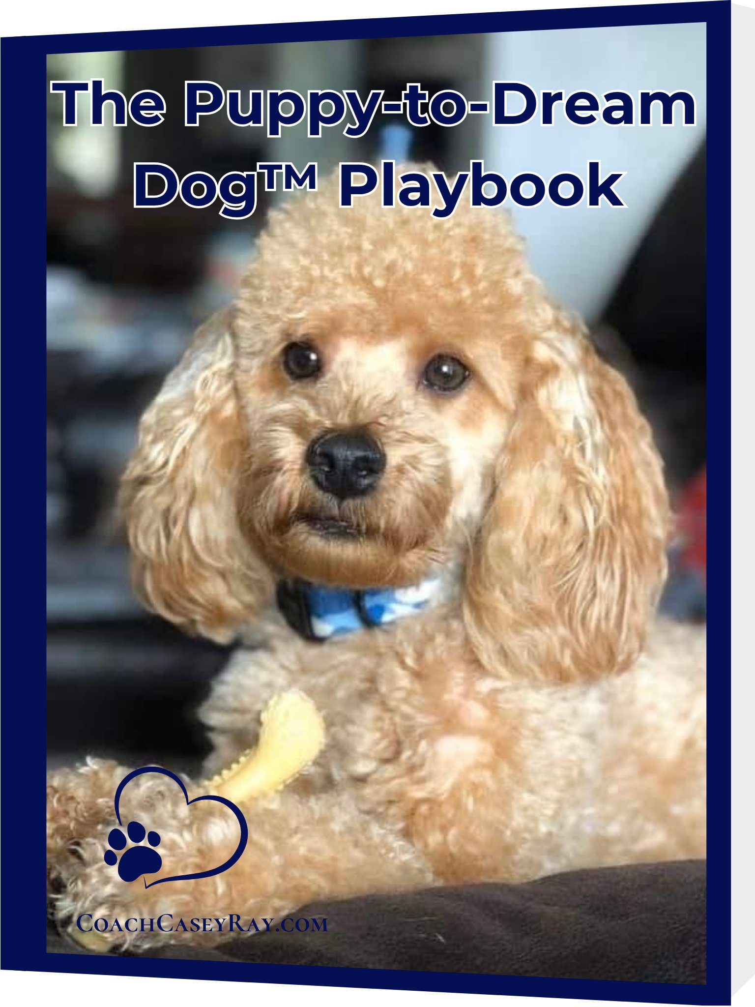 Coach Casey's Puppy-to-Dream Dog™ Playbook product image (1)