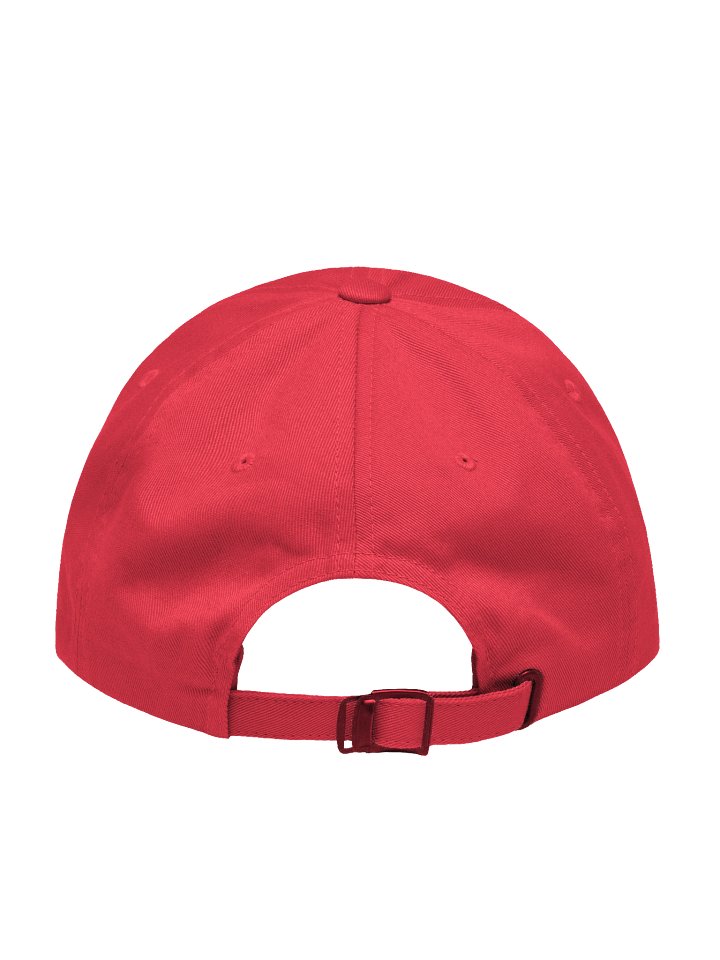 Scammed by POTUS hat product image (2)