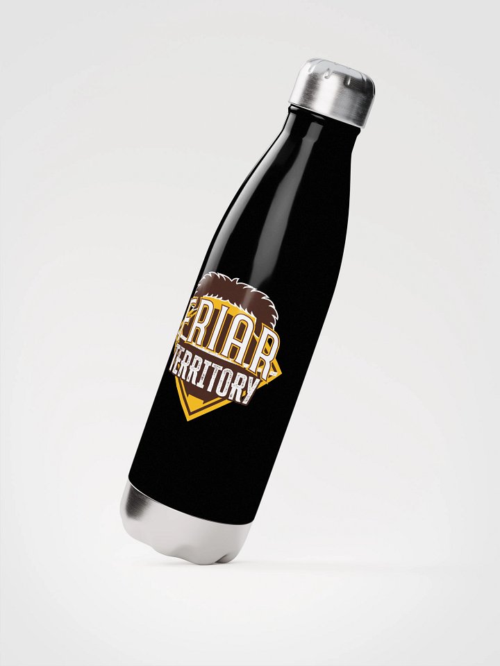 Stainless Steel Water Bottle product image (2)