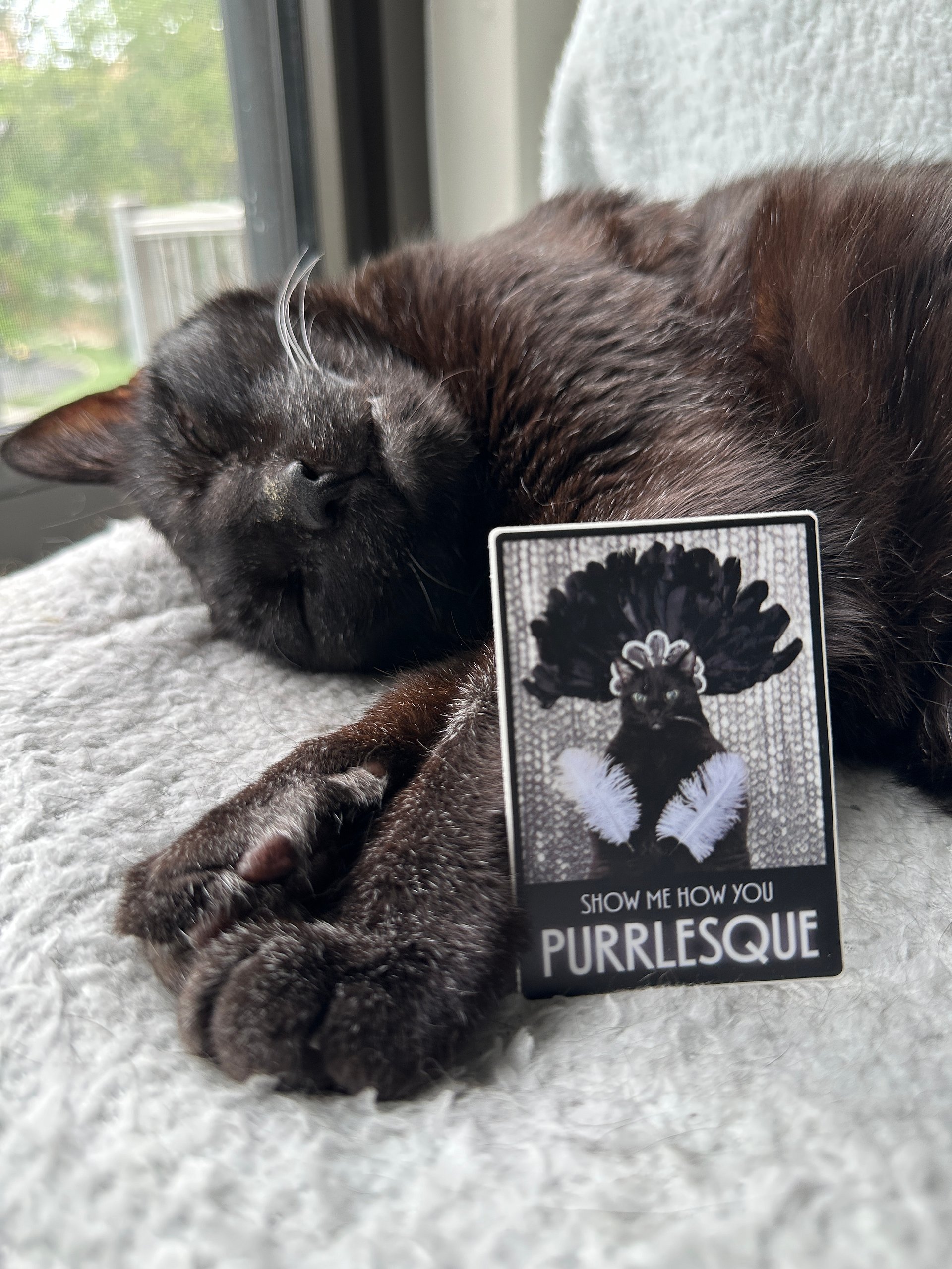 Purrlesque sticker product image (2)