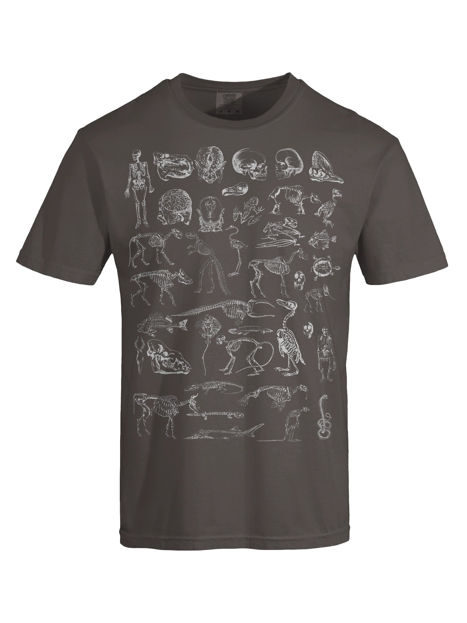Dark Academia Skeletons Shirt – Vintage Anatomy & Animal Bones Graphic Tee product image (56)