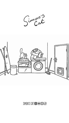 What's with cats and clean laundry?! 😜