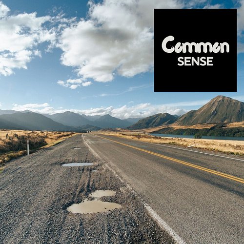 Common sense is choosing the path with fewer potholes. #commonsense #lifepath #selfimprovement #selfcare