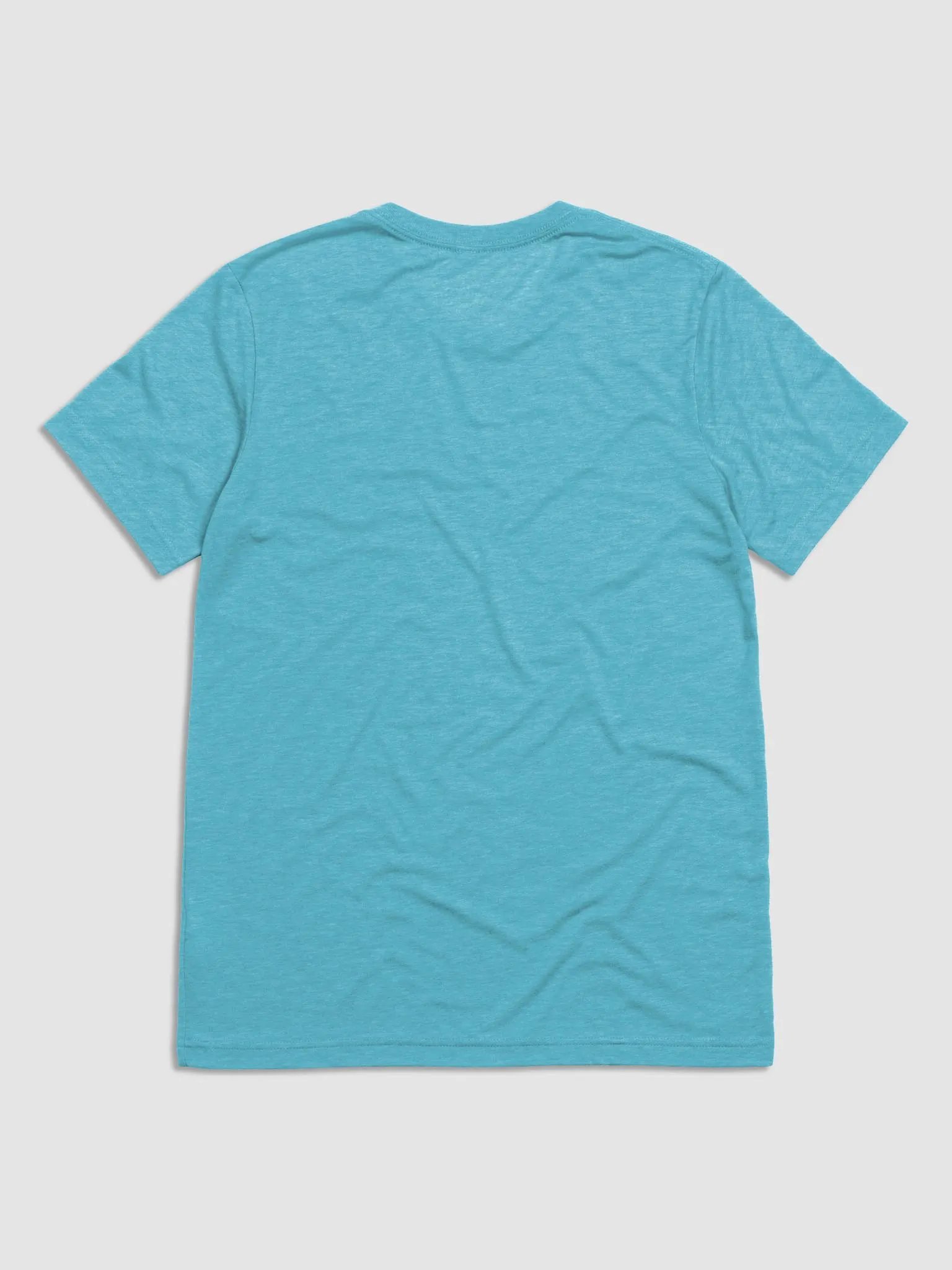 OG Logo SOFT tee product image (2)