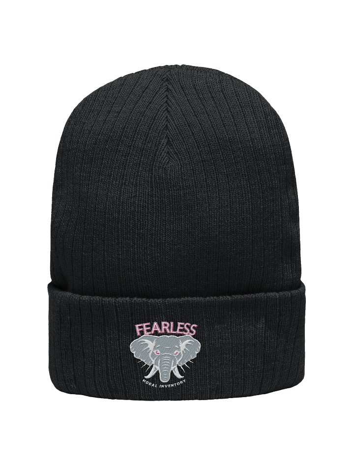 Fearless Moral Inventory Animal Lovers AA Recovery Beanie Hat Flamingo Design product image (1)