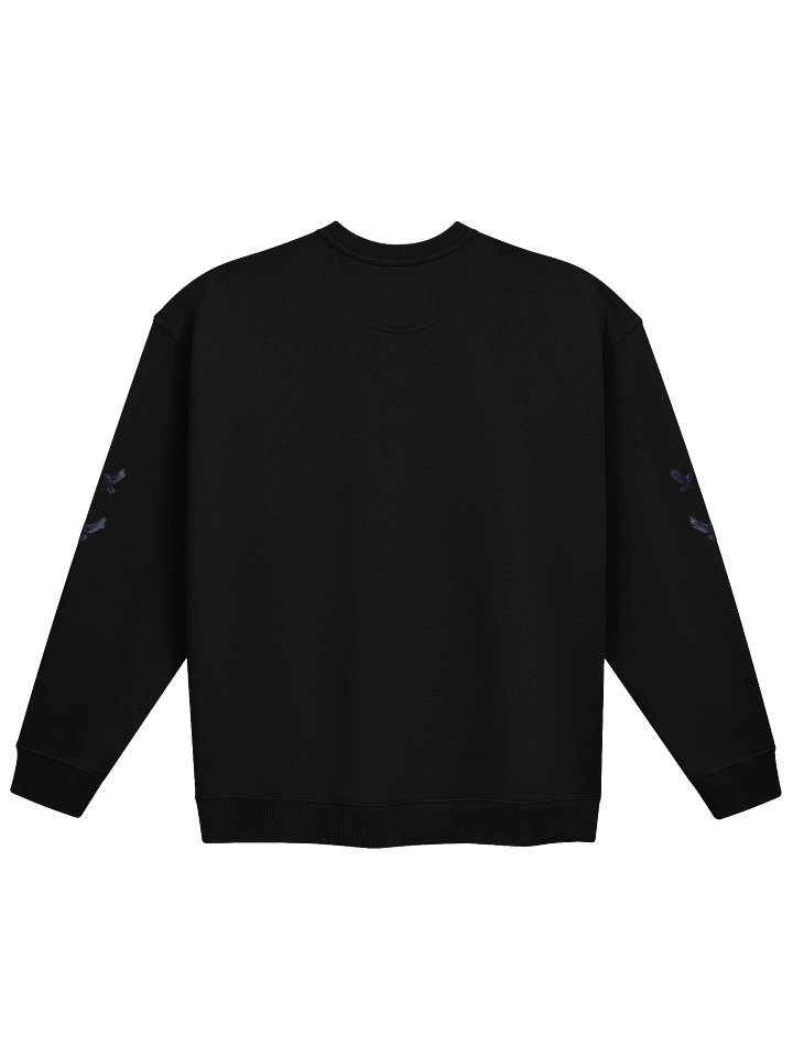 Mystic Crow Unisex Oversized Sweatshirt product image (2)