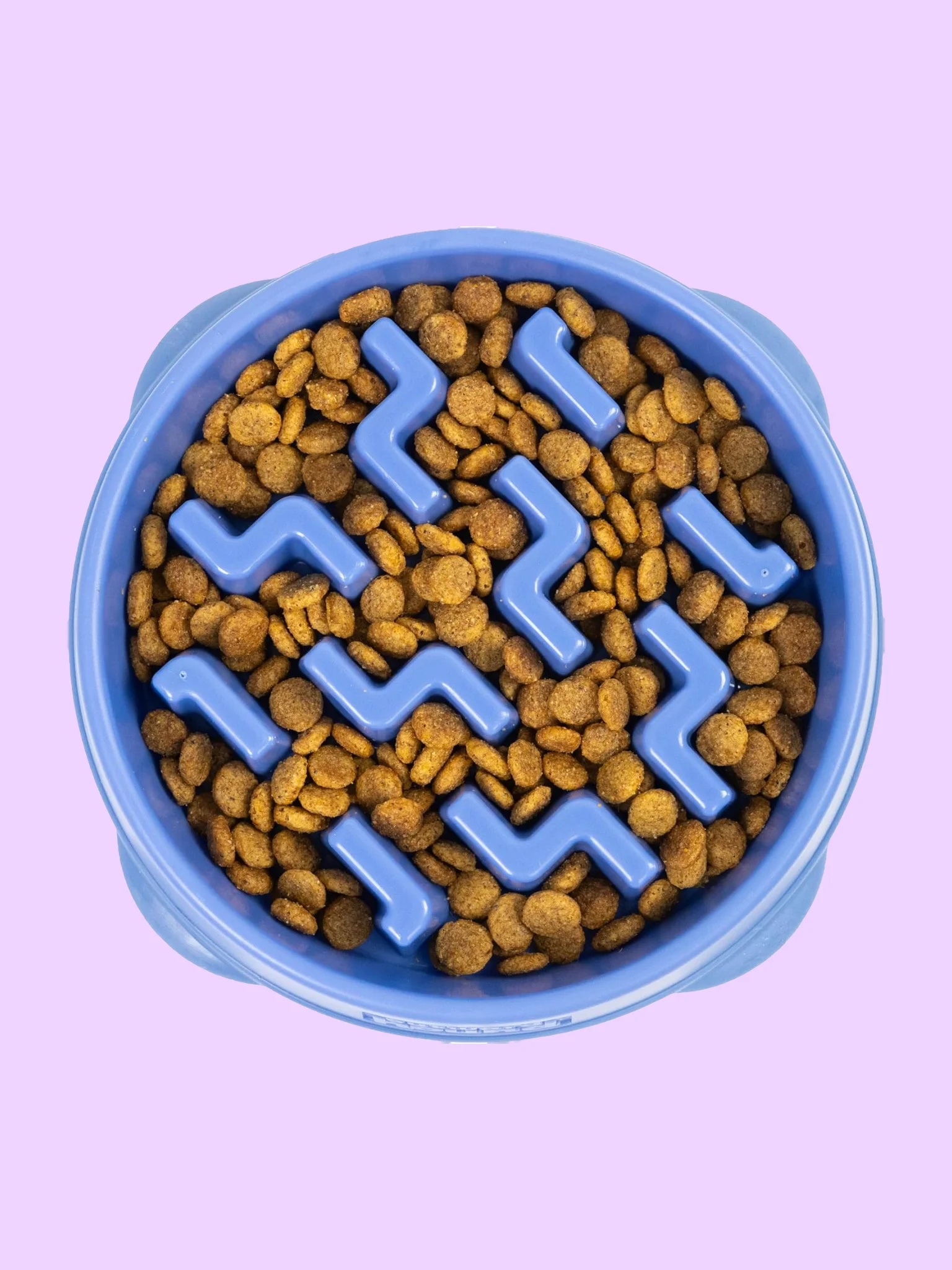 Slow Feeder Bowl for Dogs & Cats product image (1)