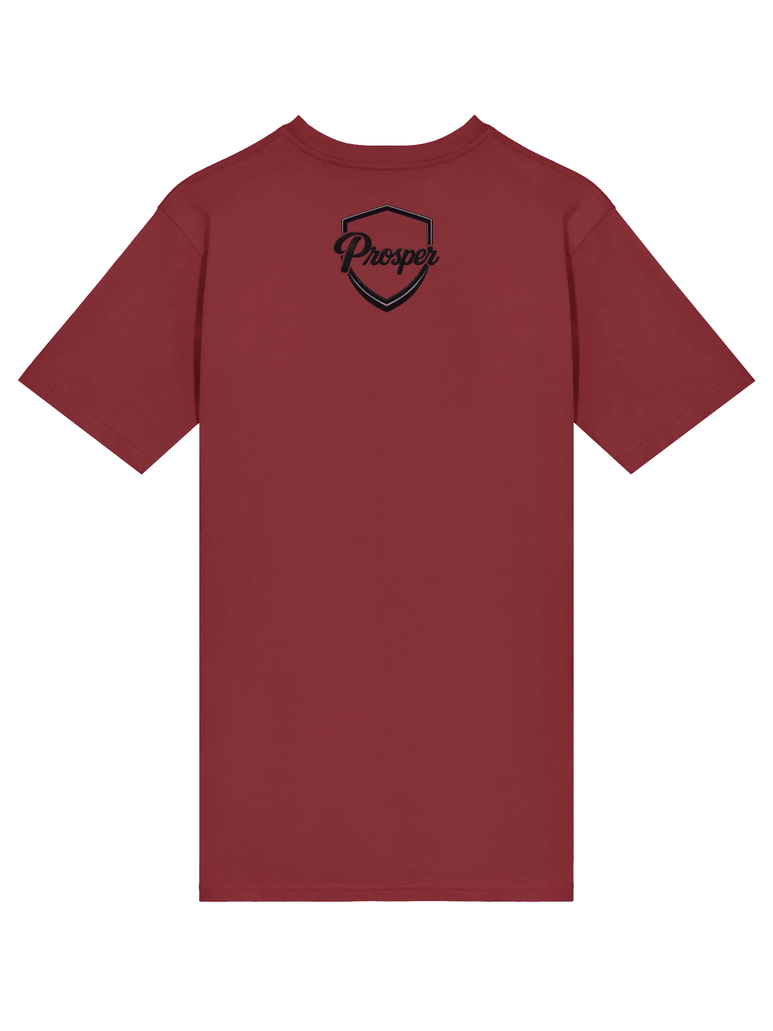 PROSPER Heavyweight T-shirt product image (18)