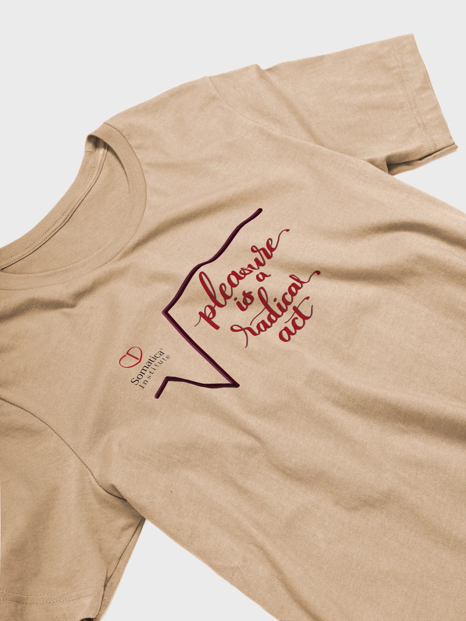 Pleasure is a radical act T-Shirt product image (3)