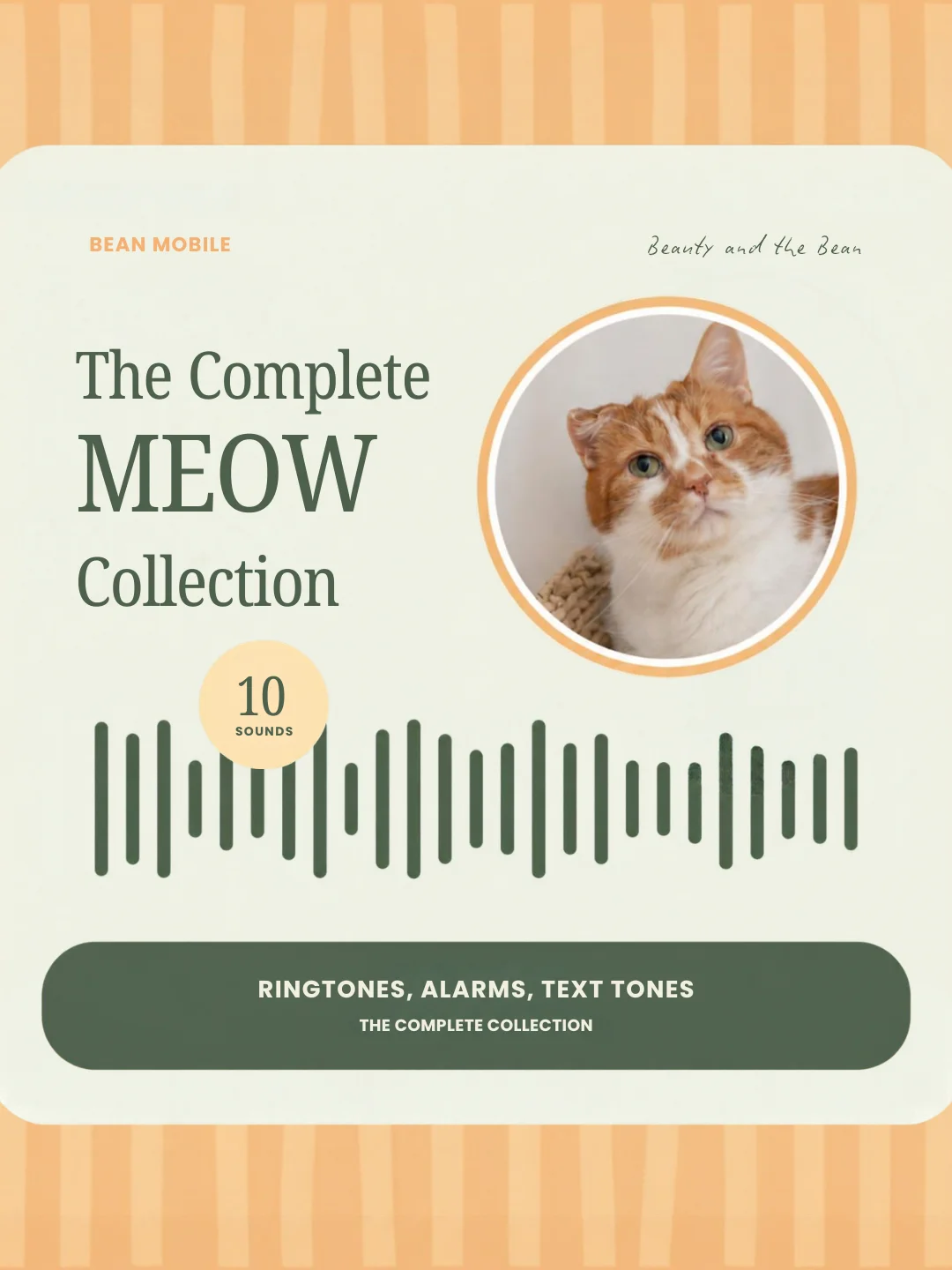 The Complete Meow Collection product image (1)