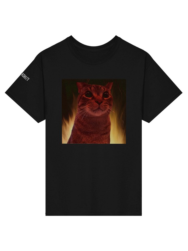 This Is Fine, Luke's Version T-Shirt product image (1)