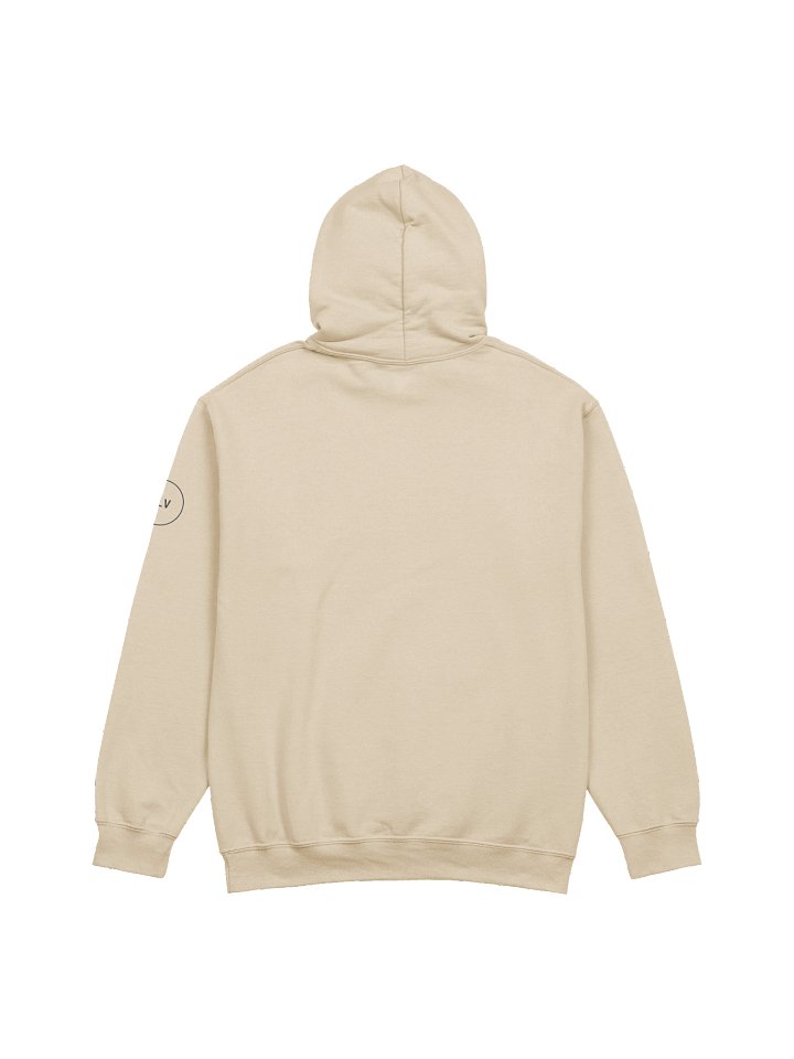 The Original PRAY LIFT VOTE Hoodie product image (6)