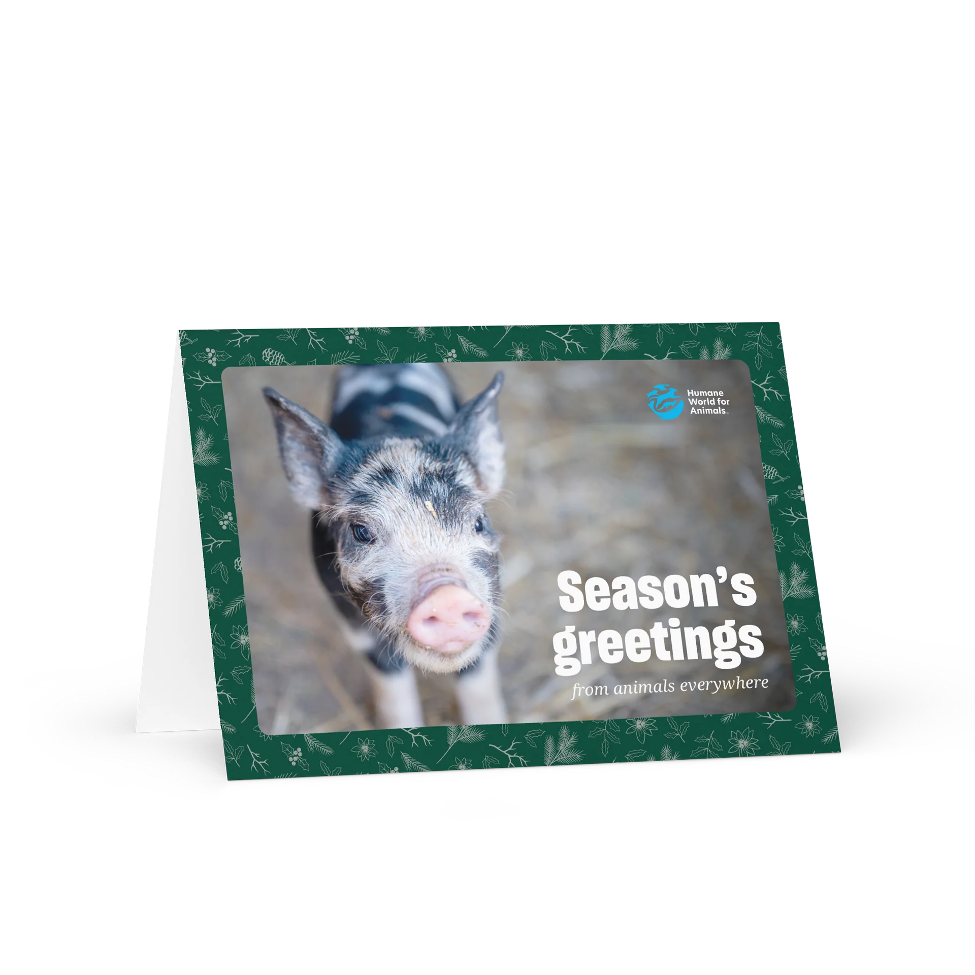 Holiday card - Pig product image (1)