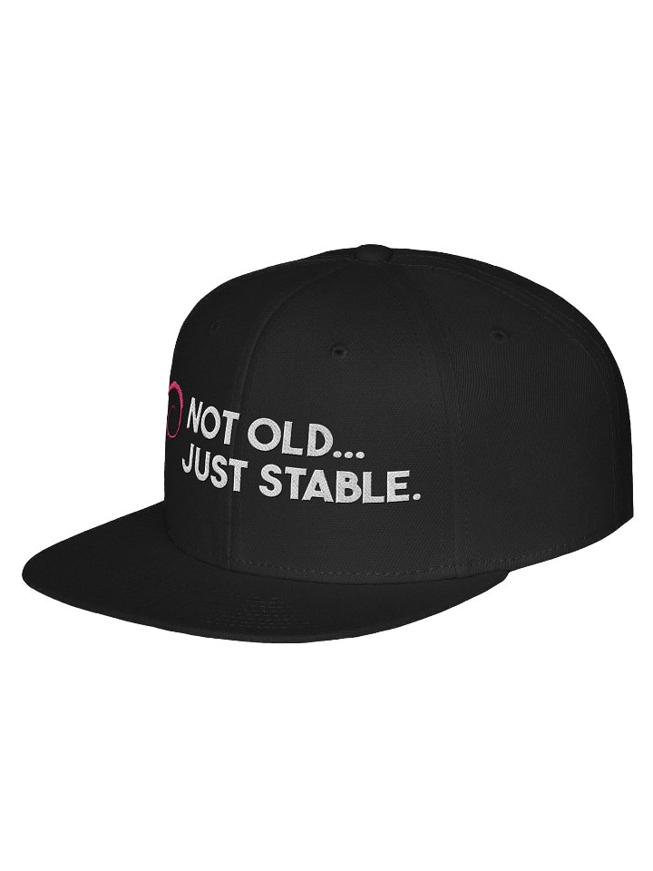Debian Stable Flat Bill product image (8)