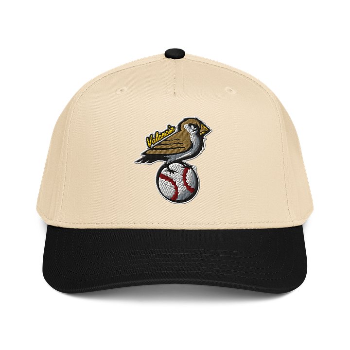 Golondrinas Valencia Baseball Cap (Snapback) product image (1)