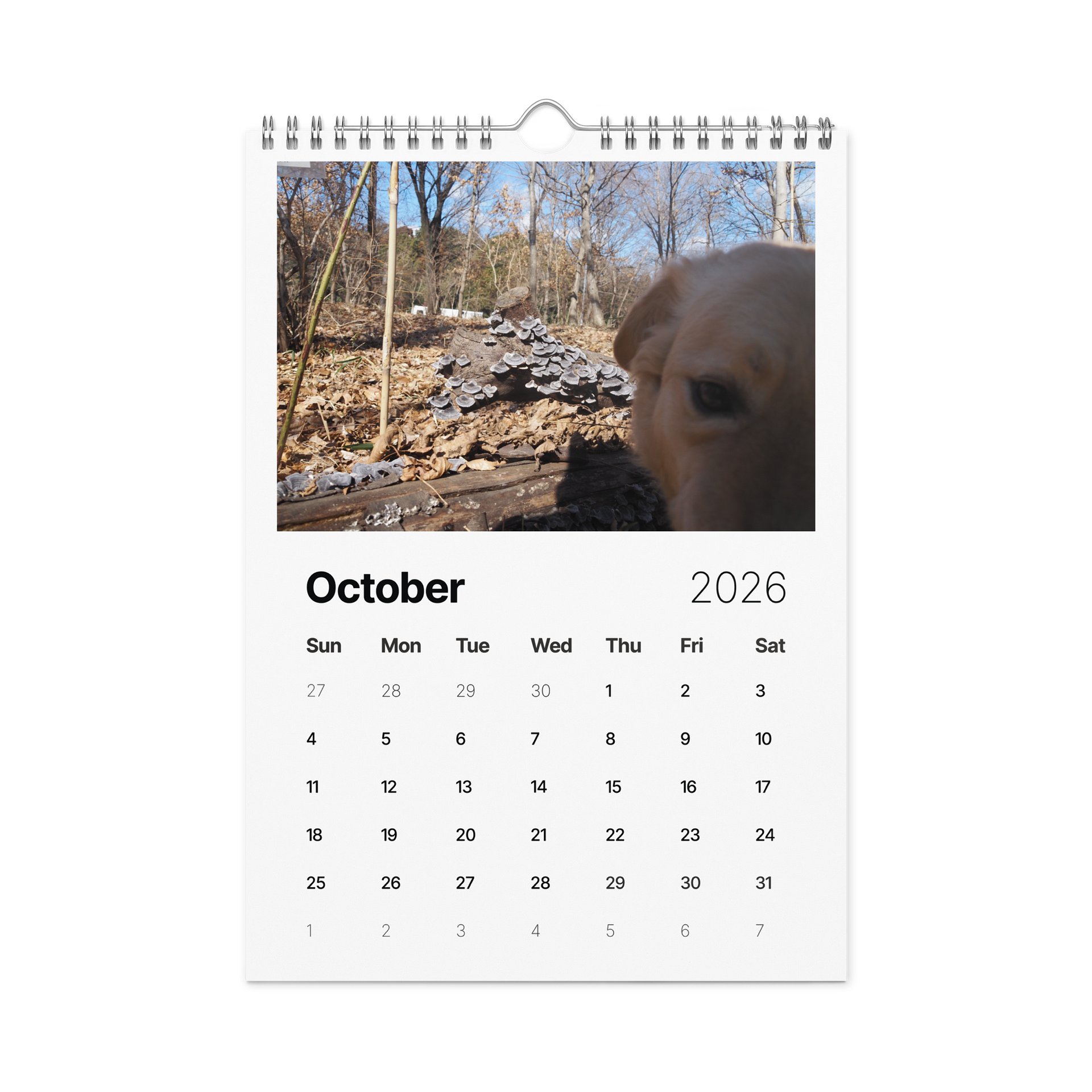 Milo's Life 2026 Wall Calendar product image (11)