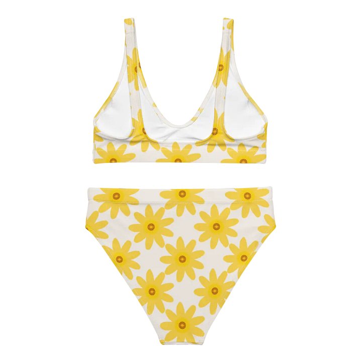Daisy Dreams #3 High-Waisted Bikini Set product image (2)