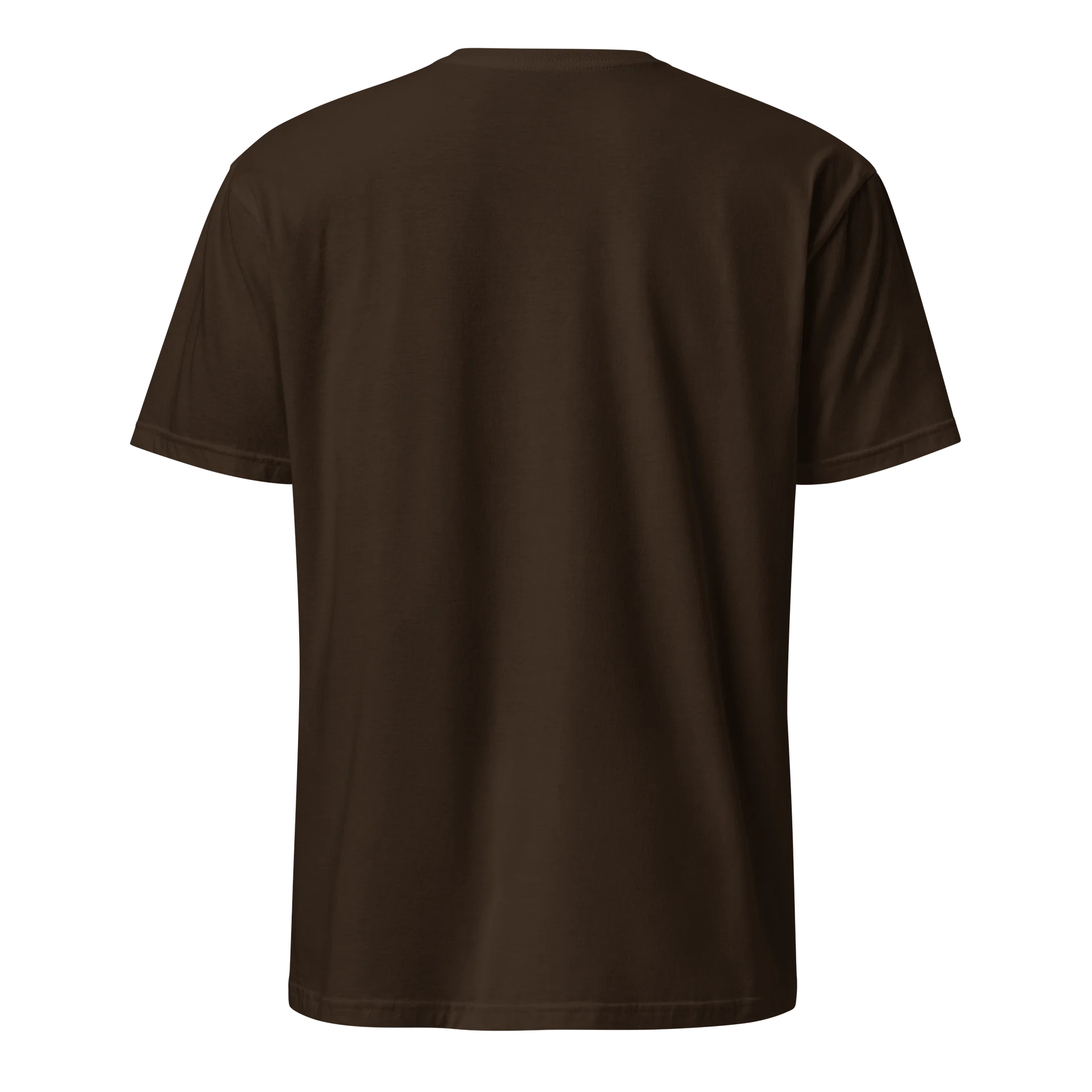 paro pa embroidered shirt product image (2)