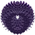 Senzu’s Personal animated Emote Lab
