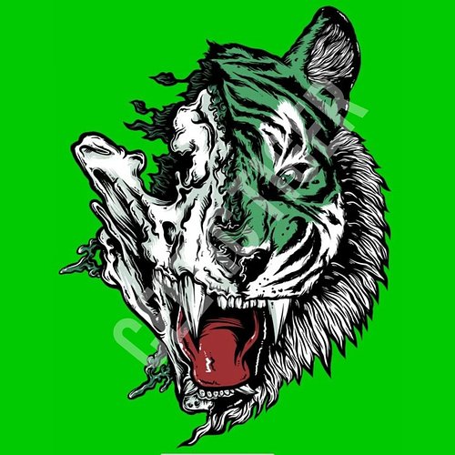 Celtic tiger designs created for @teeman_92 

#graphicillustration #illistration #digitalart #wrestlingart #prowrestling #ind...