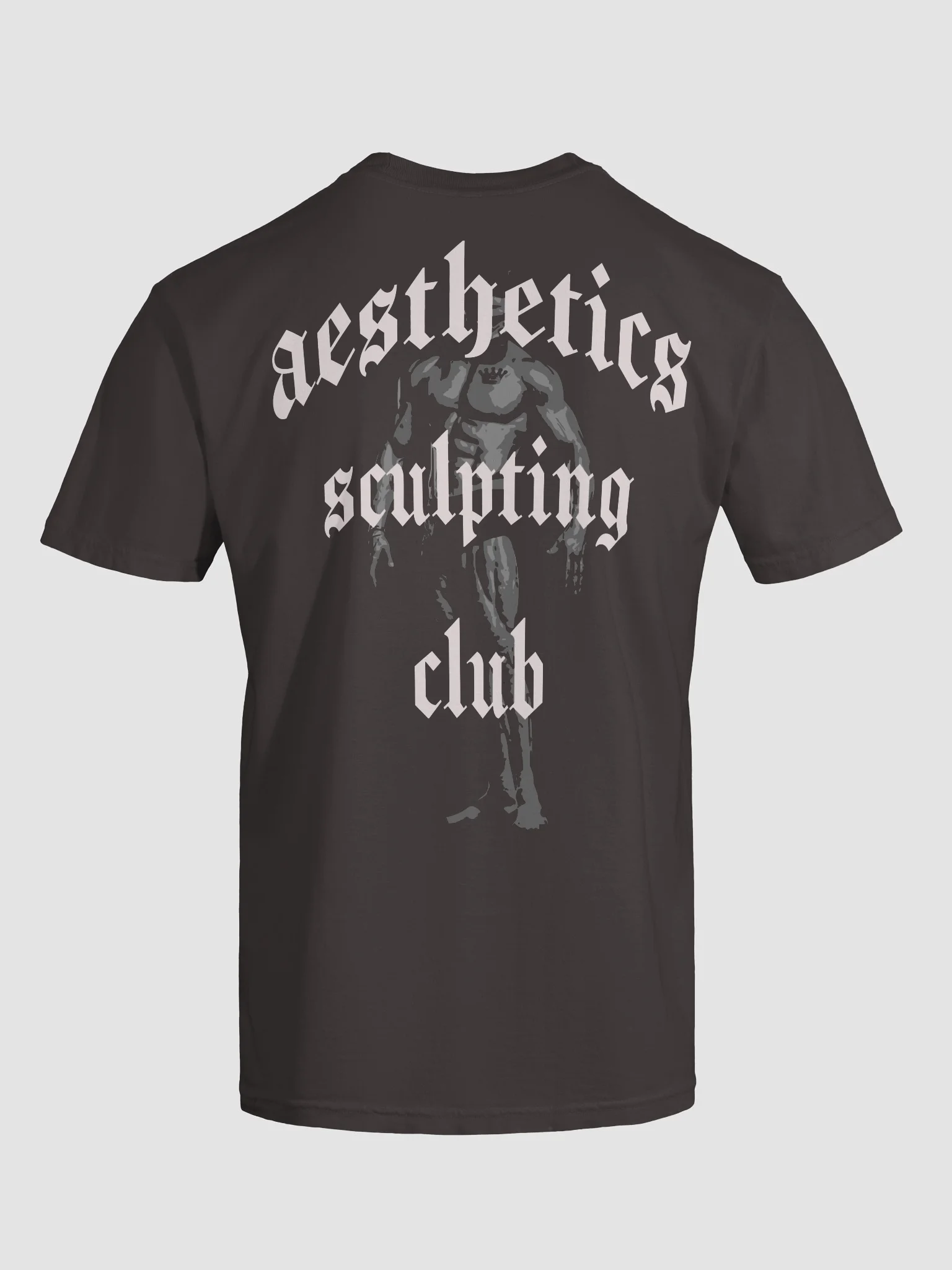 Aesthetics Sculpting Club Tee product image (11)