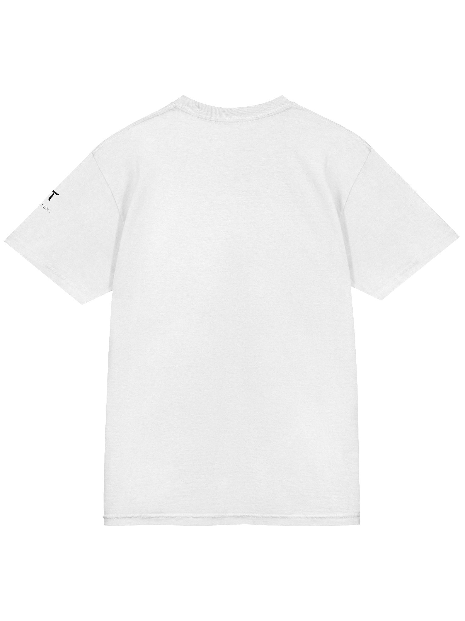 SN18 - Heavyweight T-Shirt (Embroidered) product image (4)