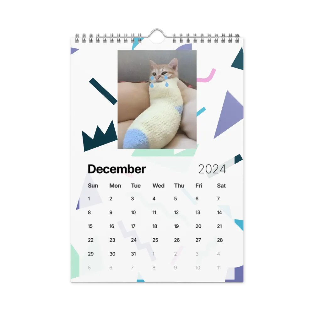 Wall Calendar (2024): Meme Cats product image (6)
