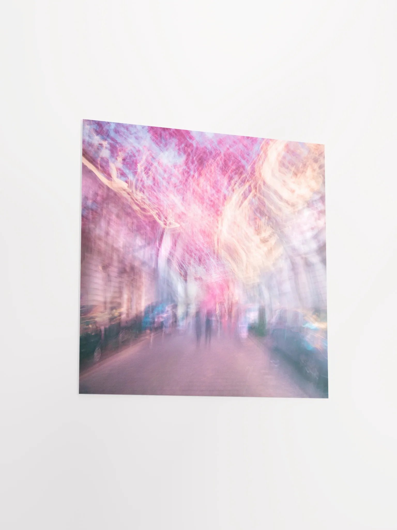 Pink Sky - Cherry Blossoms - Print product image (4)