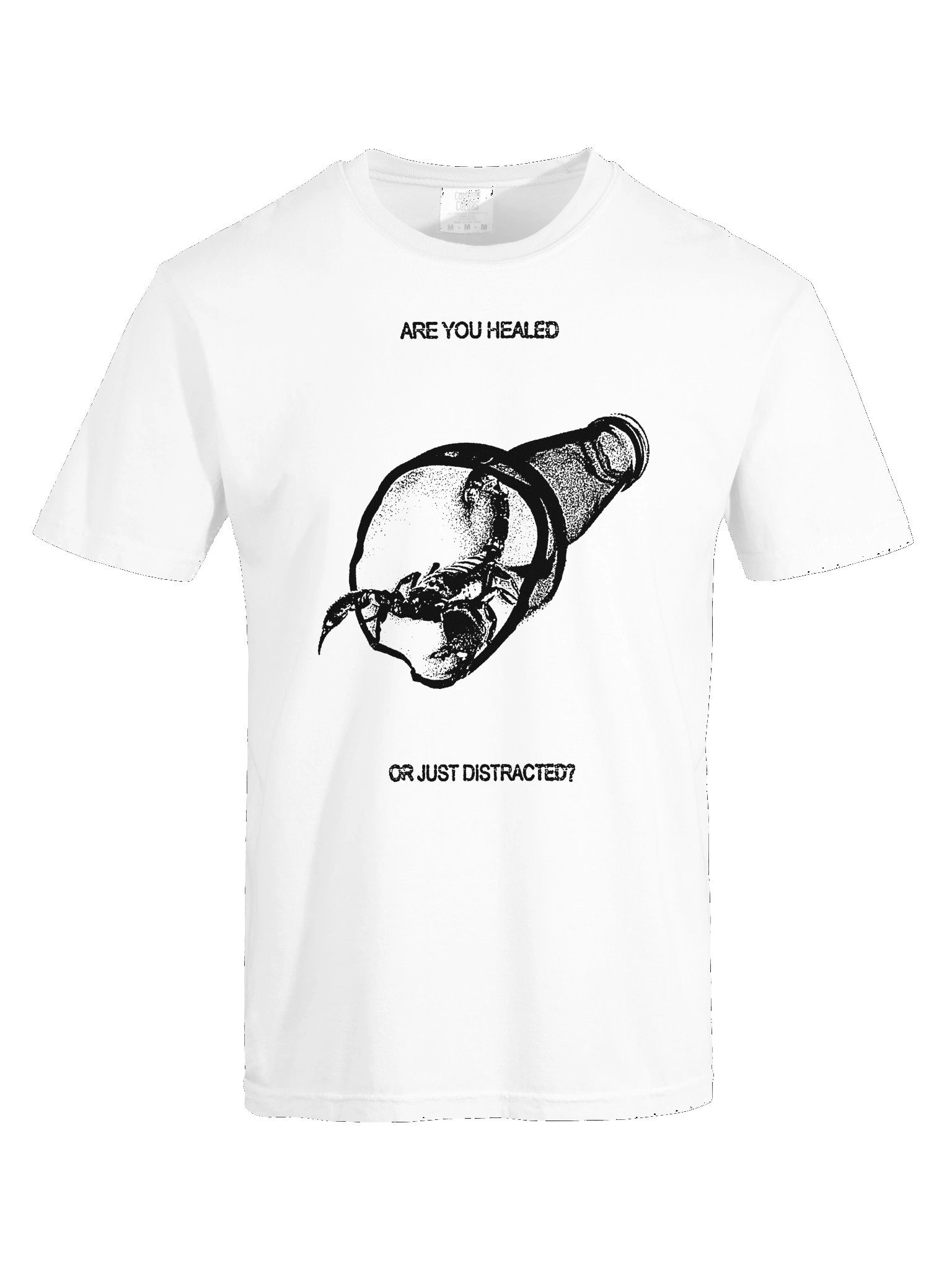 HEALED/DISTRACTED T-SHIRT product image (5)