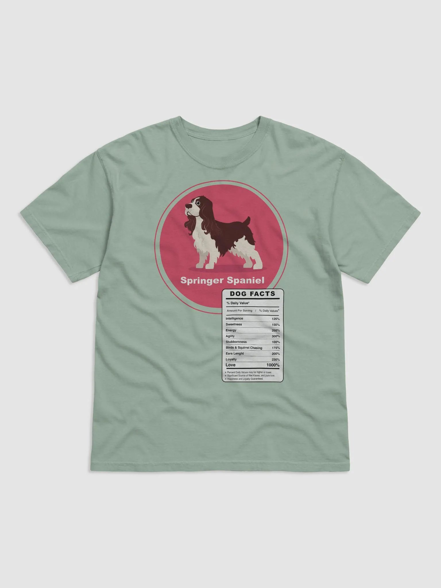 Springer Spaniel Dog Facts product image (50)