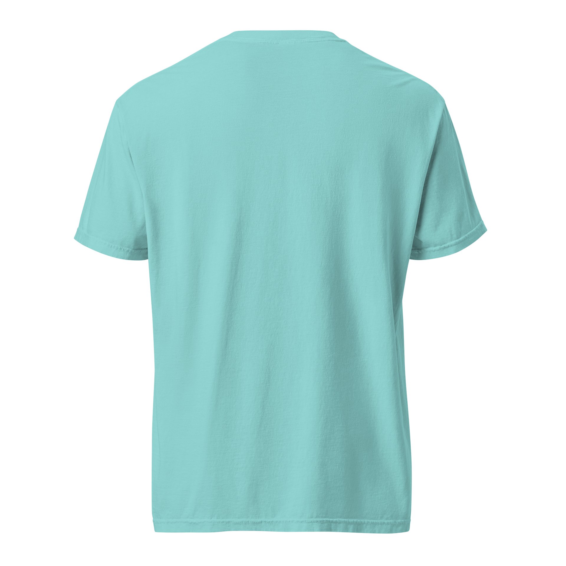“At Home In My Skin” Lagoon Blue T-Shirt product image (4)
