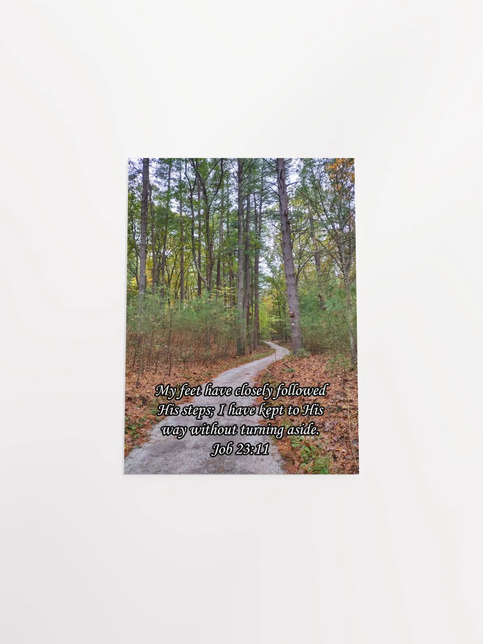 My Feet Have Followed His Steps - Print product image (8)