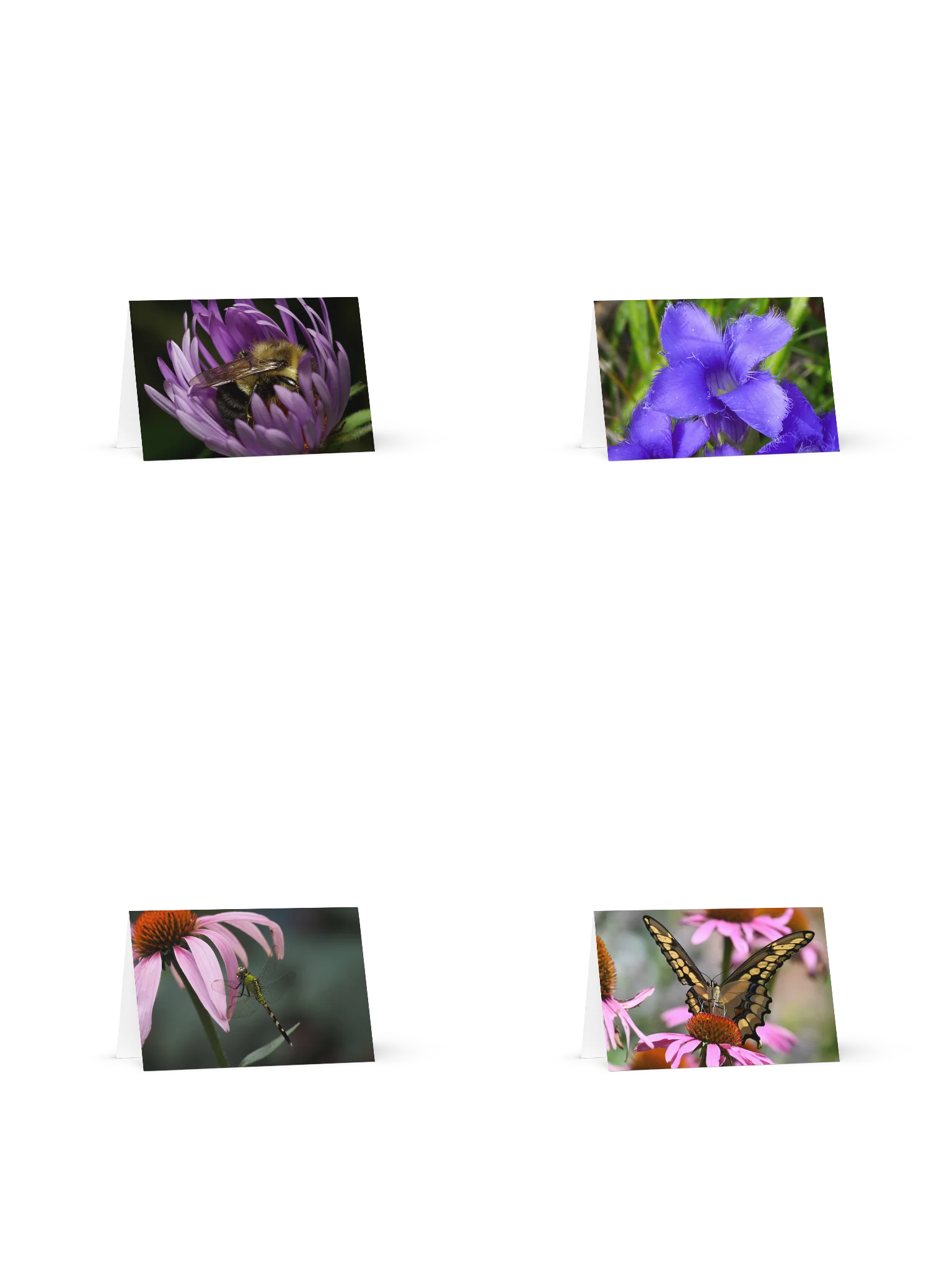 Blank Greeting Card 4-Pack product image (1)