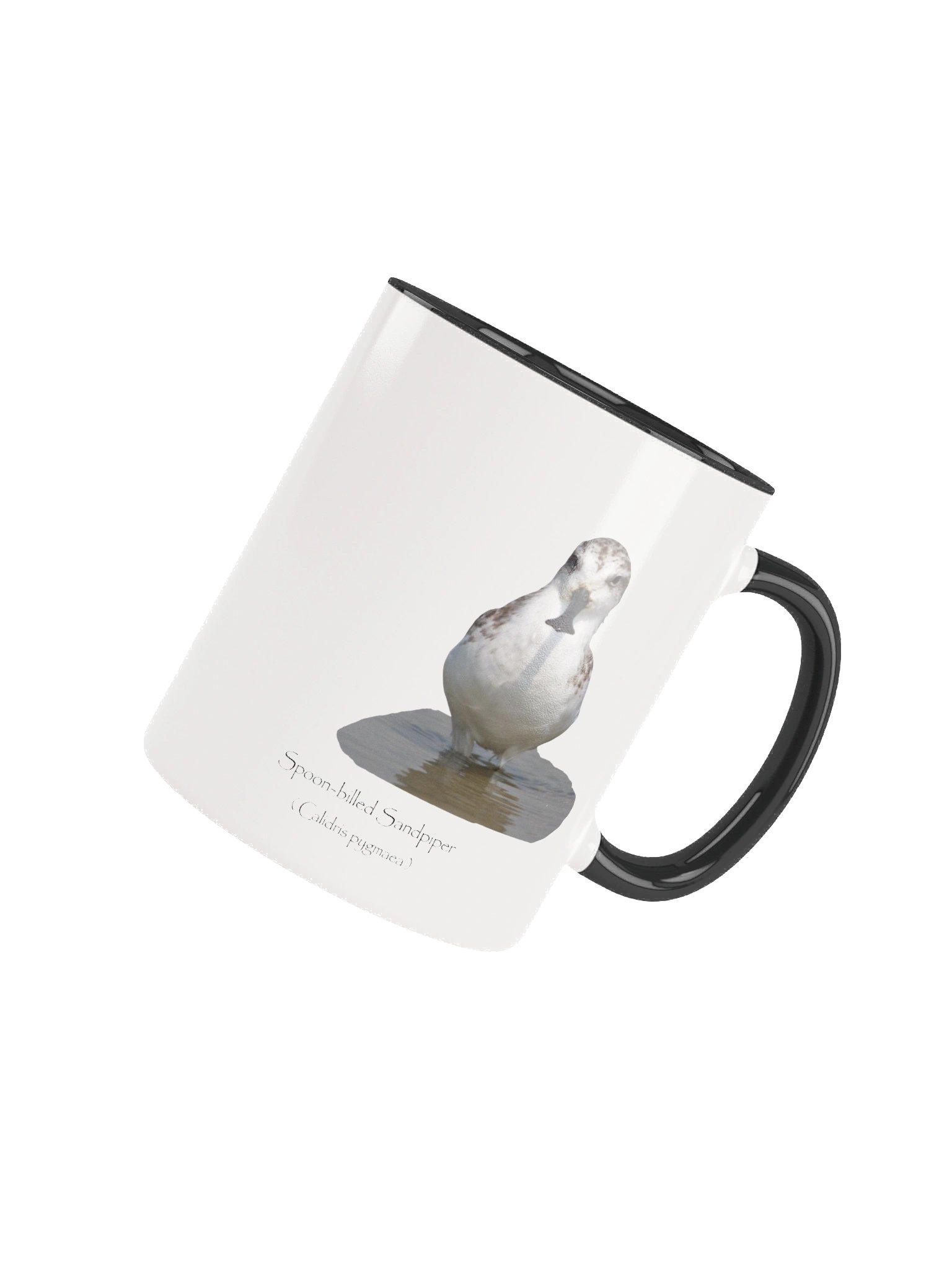 Spoon-billed Sandpiper product image (32)