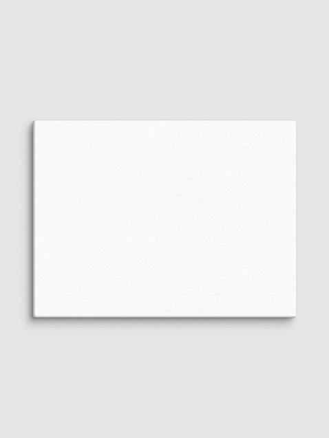 Photo showing Canvas (in)