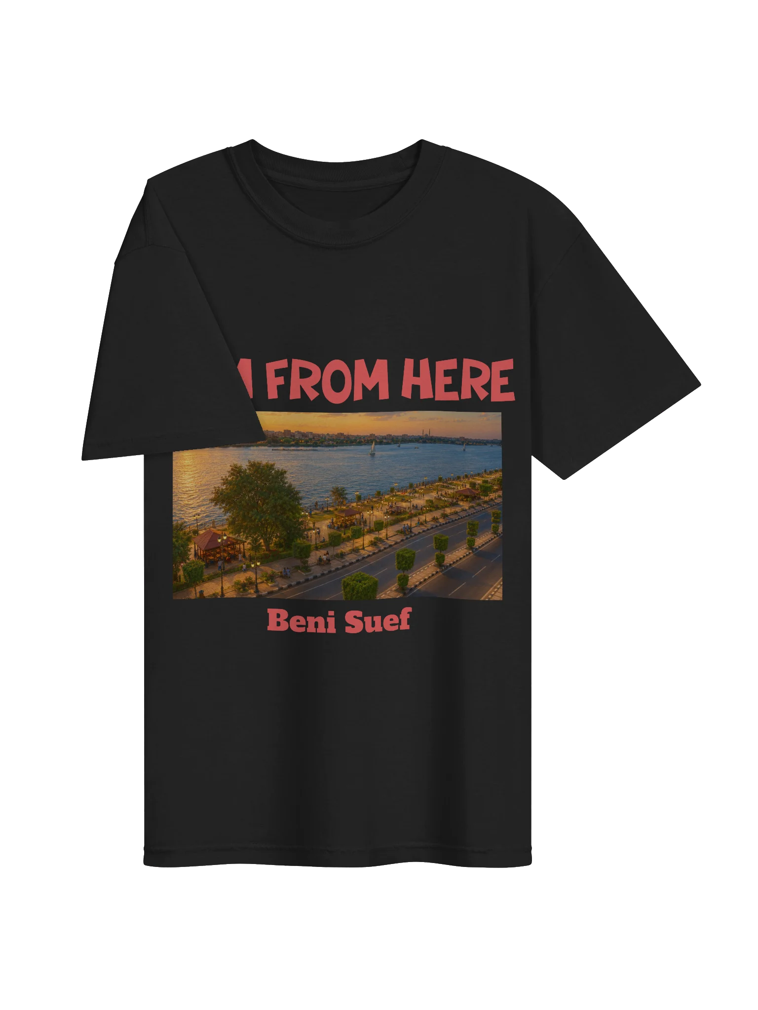 Beni Suef T-Shirt (Heavyweight Fabric) product image (3)