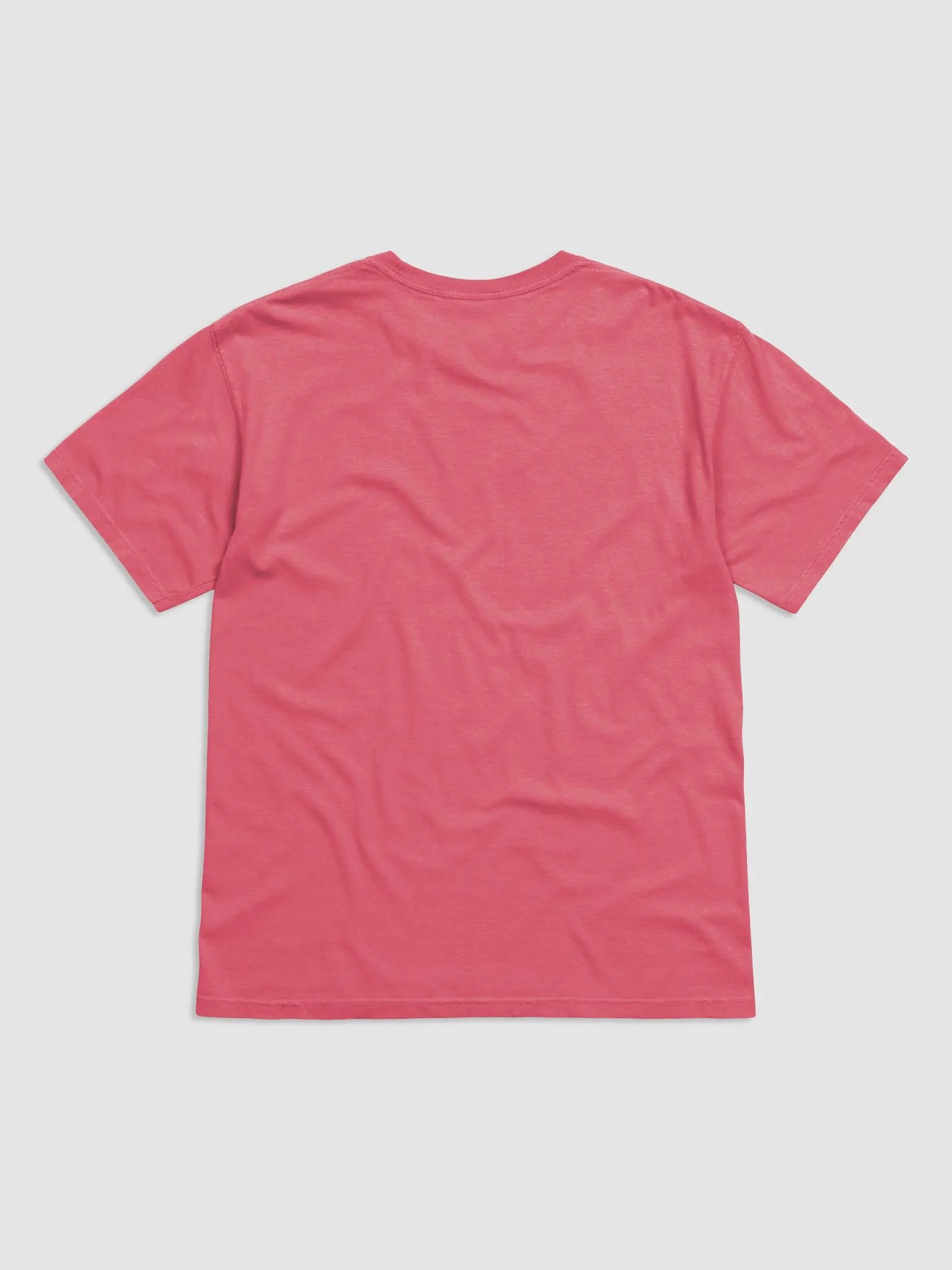 tee product image (2)