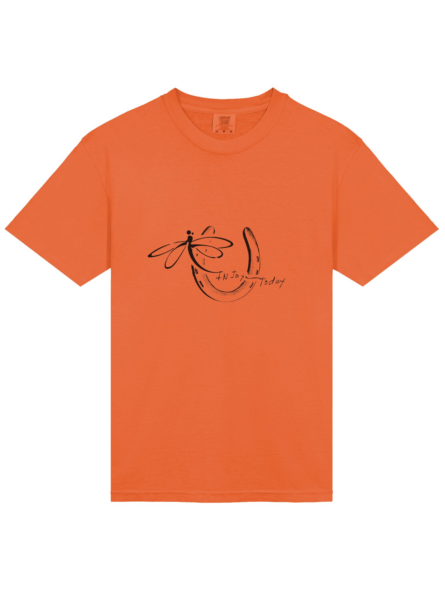 InJoy Today Daily Joy T‑Shirt| Premium Heavyweight Cotton T‑Shirt (Relaxed Unisex Fit) product image (2)