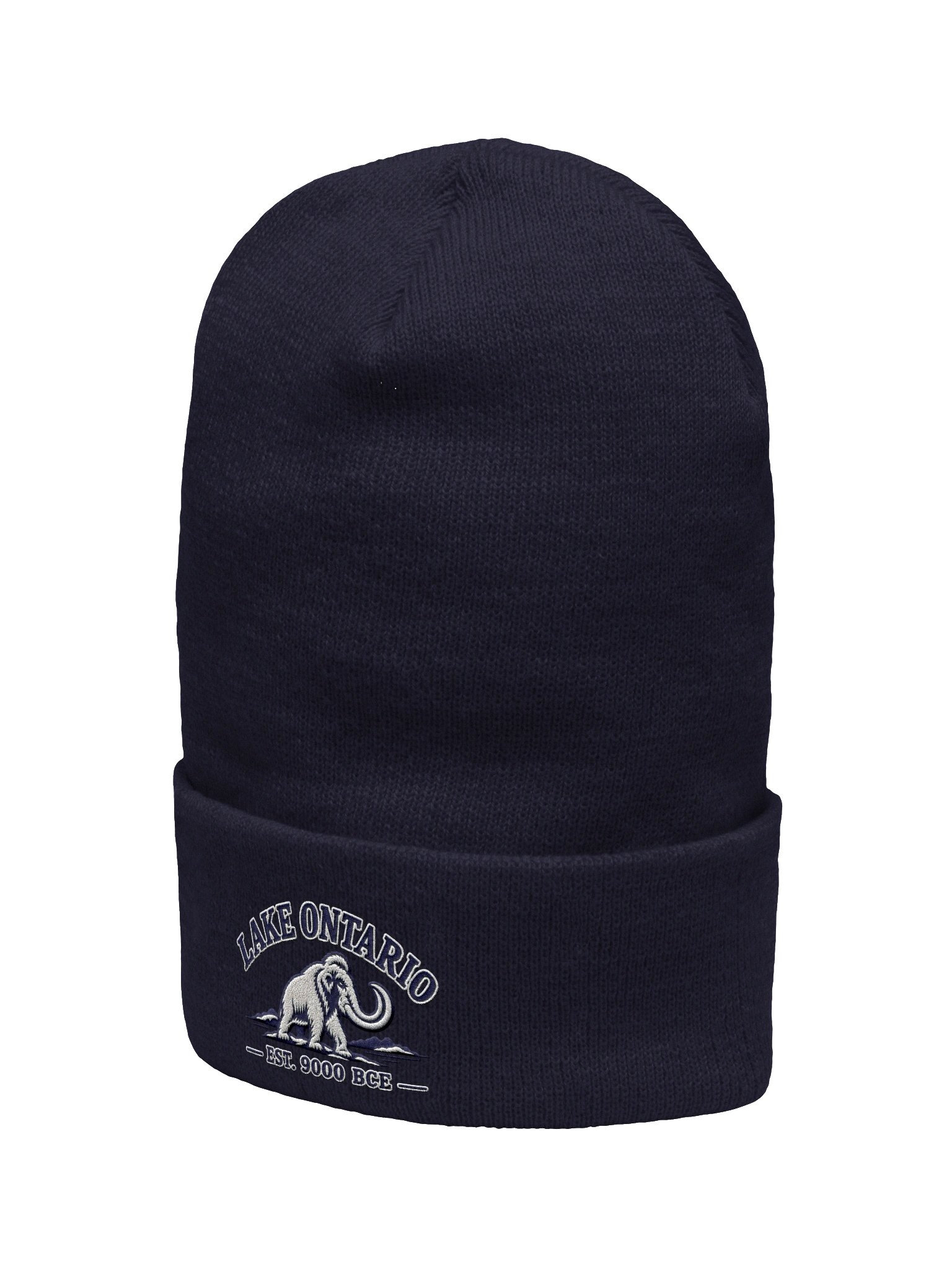 Lake Ontario Mammoth Premium Cuffed Beanie | Navy product image (2)