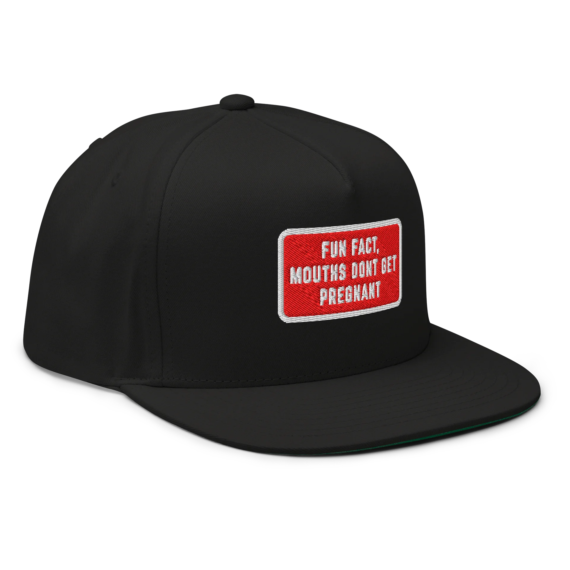 MOUTHS DONT GET PREGNANT - Embroidered SnapBack product image (5)