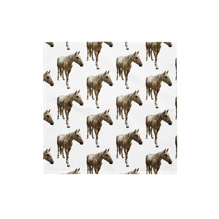 Touton Bandana product image (1)