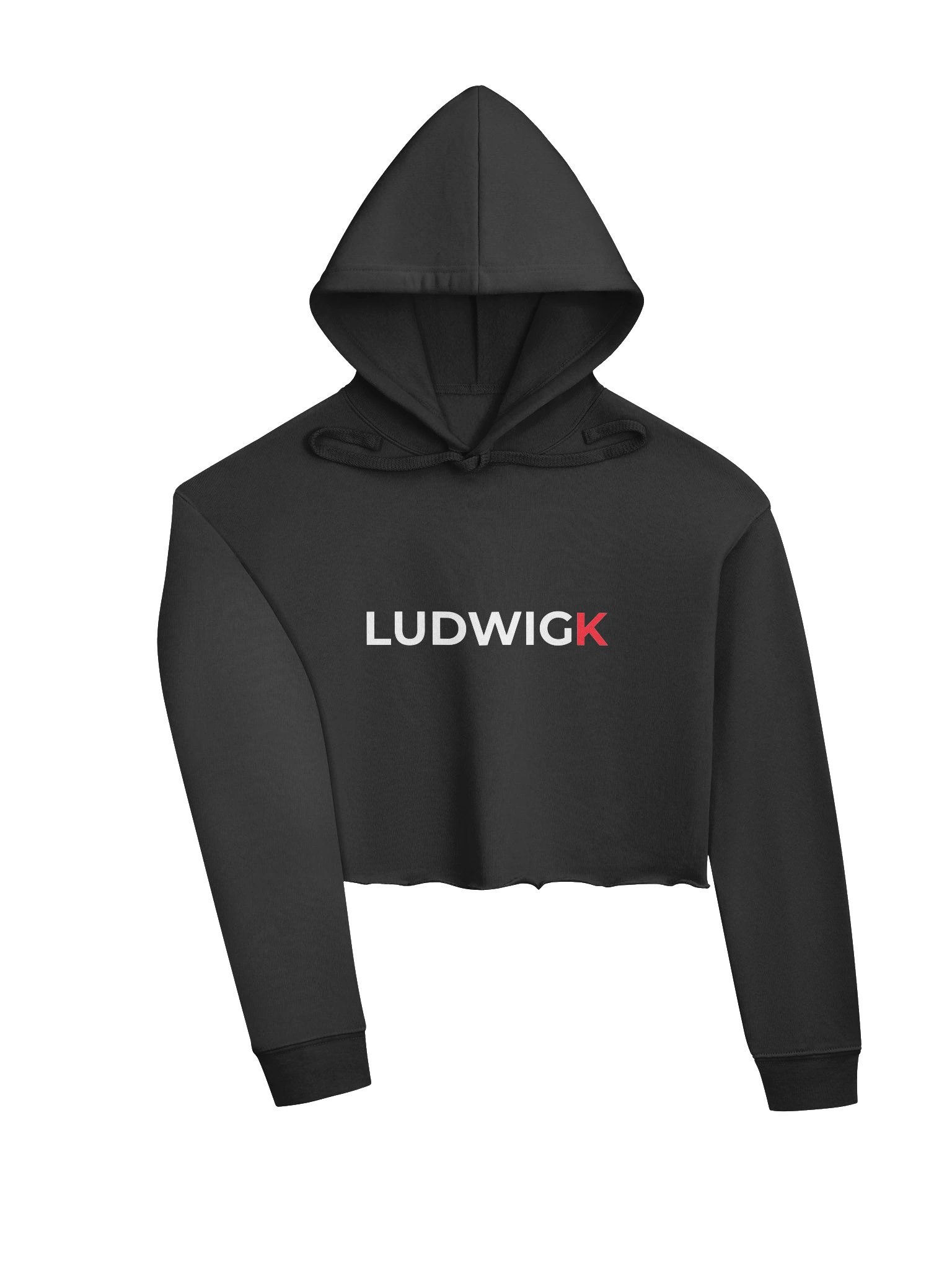 LUDWIGK - Signature Crop Hoodie product image (3)